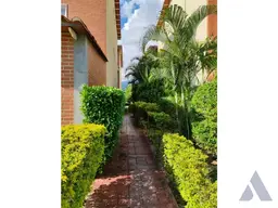 Vista 5