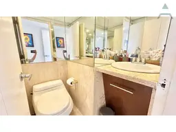 Vista 25