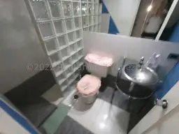 Vista 24