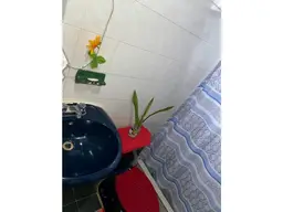 Vista 20
