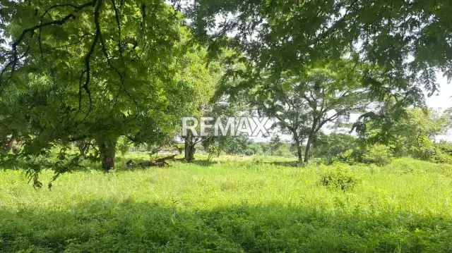 Se Vende Terreno Privado , Ubicado en Algodonal Av. 1 Parcela SN Araure, esta en toda la entrada de la troncal 5 en plena carretera principal