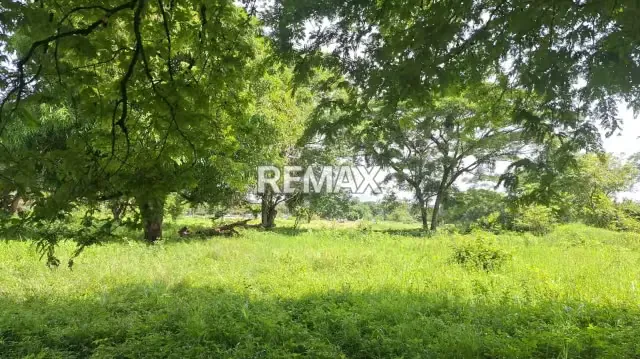 Se Vende Terreno Privado , Ubicado en Algodonal Av. 1 Parcela SN Araure, esta en toda la entrada de la troncal 5 en plena carretera principal