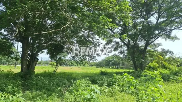 Se Vende Terreno Privado , Ubicado en Algodonal Av. 1 Parcela SN Araure, esta en toda la entrada de la troncal 5 en plena carretera principal - 2