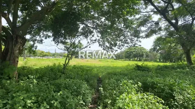 Se Vende Terreno Privado , Ubicado en Algodonal Av. 1 Parcela SN Araure, esta en toda la entrada de la troncal 5 en plena carretera principal - 3