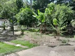 View 24