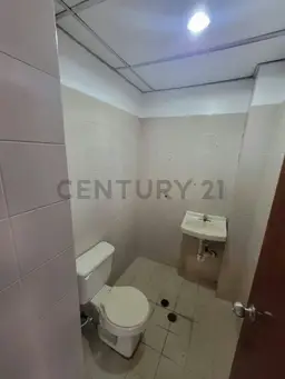 Vista 4
