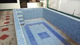 Vista 50