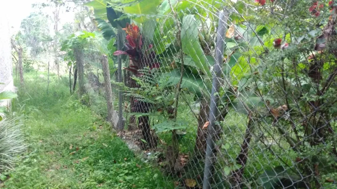 Casa (Casas de Campo) en Venta en Ejido, Merida - 52