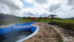 Vista 5