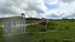 Vista 6