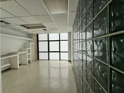Vista 4