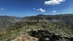 Vista 1