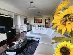 Vista 5