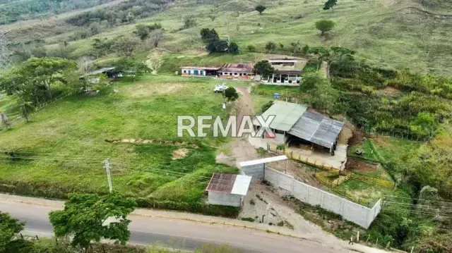 EN ENTA Granja Palma de Oro Barrio El Rio San Cristóbal
