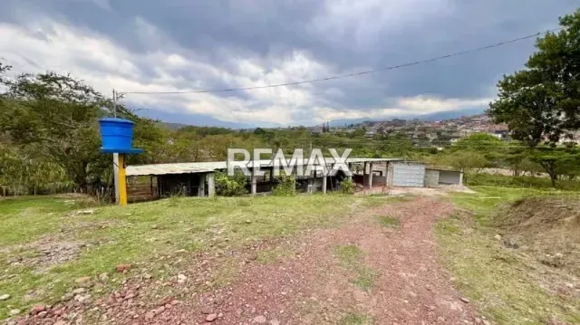 EN ENTA Granja Palma de Oro Barrio El Rio San Cristóbal - 10