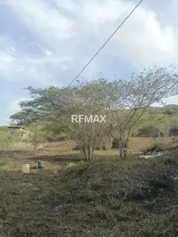 View 3