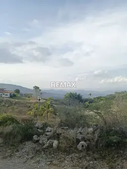 View 4