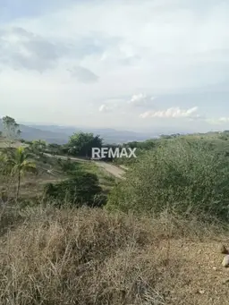 View 6