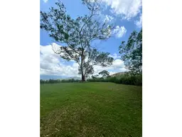 Vista 25