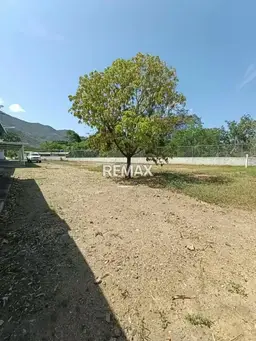 View 16