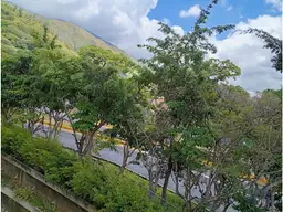 View 14