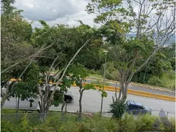 View 15