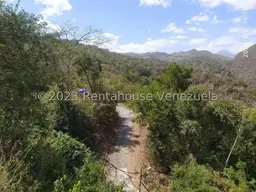 View 10