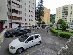 View 55