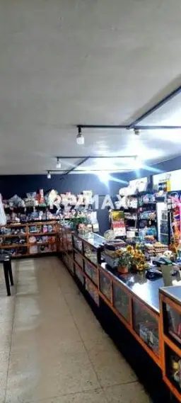 Vista 1