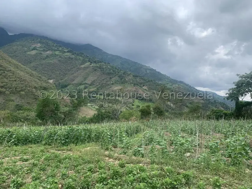 Terreno (Finca) en Venta en Sector El Anis, Merida - 3