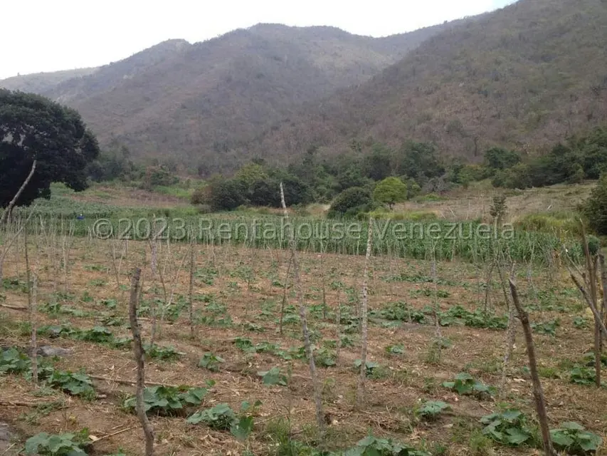 Terreno (Finca) en Venta en Sector El Anis, Merida - 4