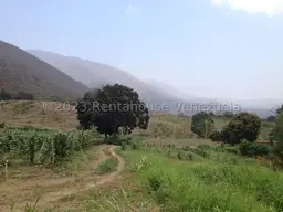 Vista 5