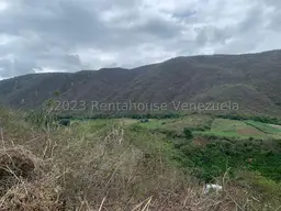 Vista 8