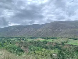 Vista 9