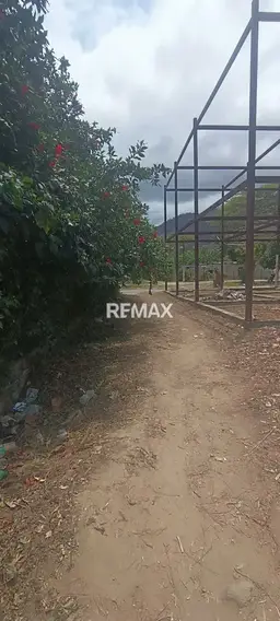 View 5