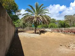 Vista 14