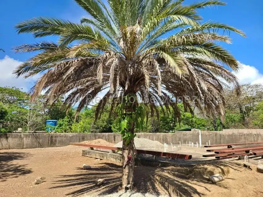 Terreno (Residencial) en Venta en La Asuncion, Nueva Esparta - 4