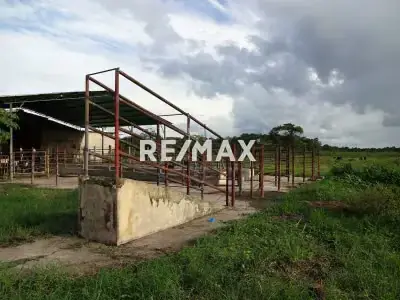 Finca en Venta en La Hormiga, Parroquia La Pica, Maturín, Monagas