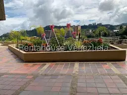 Vista 5