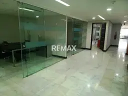 Vista 5