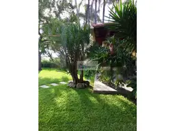 Vista 12