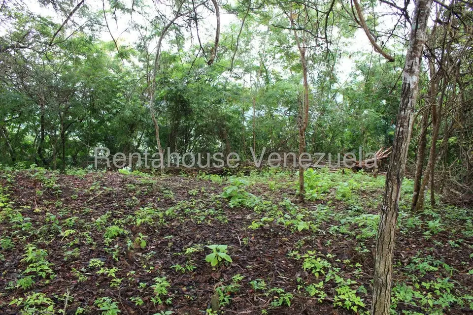 Terreno (Residencial) en Venta en El Hatillo, Distrito Metropolitano - 6