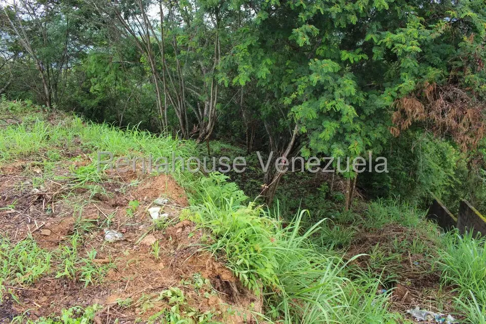 Terreno (Residencial) en Venta en El Hatillo, Distrito Metropolitano - 10