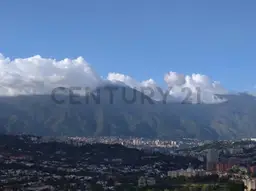 Vista 15