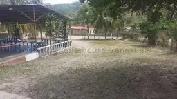 Vista 5