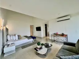 Vista 26