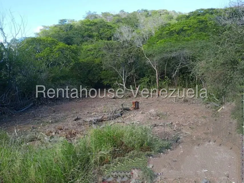 Terreno (Residencial) en Venta en Guatamare, Nueva Esparta - 3