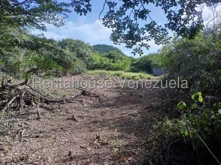 Terreno (Residencial) en Venta en Guatamare, Nueva Esparta - 4