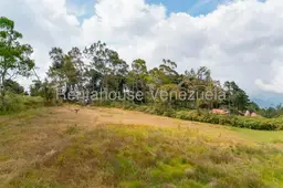View 13