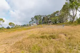 View 23